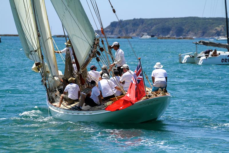 Ariki - 2020 Mahurangi Regatta - Mahurangi Cruising Club - January 25, 2020 - photo © Richard Gladwell / Sail-World.com