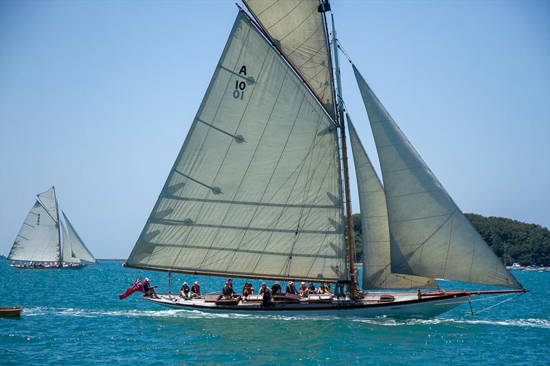 Thelma - 2020 Mahurangi Regatta - Mahurangi Cruising Club - January 25, 2020 photo copyright Richard Gladwell / Sail-World.com taken at  and featuring the Classic Yachts class