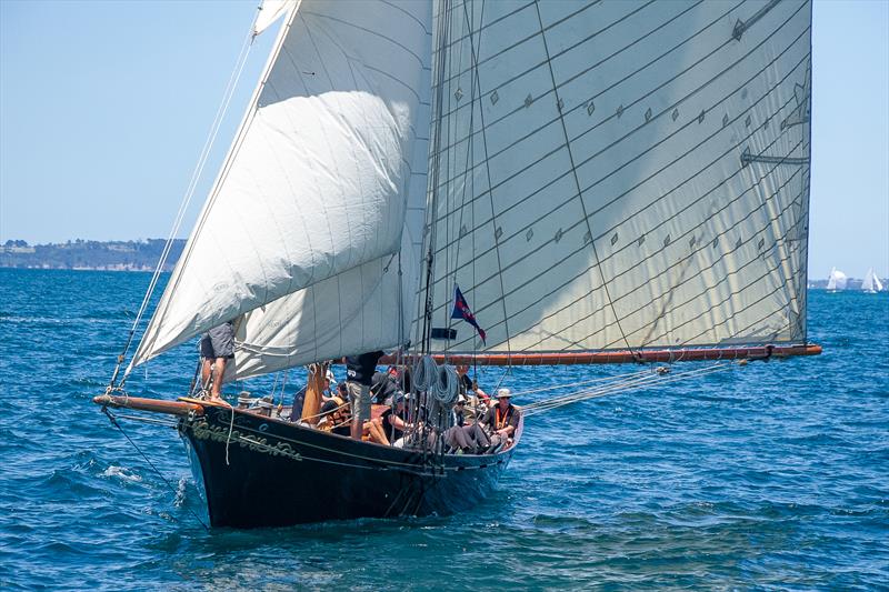 Waitangi - 2020 Mahurangi Regatta - Mahurangi Cruising Club - January 25, 2020 photo copyright Richard Gladwell / Sail-World.com taken at  and featuring the Classic Yachts class