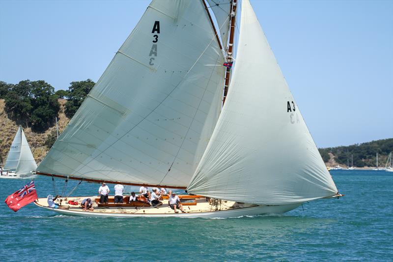 Ariki with her overlapping jib - 2020 Mahurangi Regatta - Mahurangi Cruising Club - January 25, 2020 - photo © Richard Gladwell / Sail-World.com