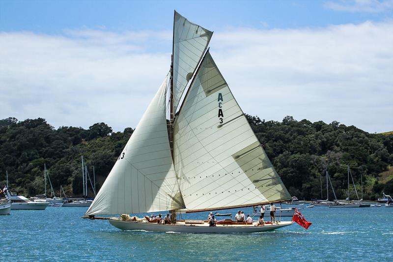 Ariki - Mahurangi Regatta - January 29, 2022 photo copyright Richard Gladwell - Sail-World.com/nz taken at  and featuring the Classic Yachts class