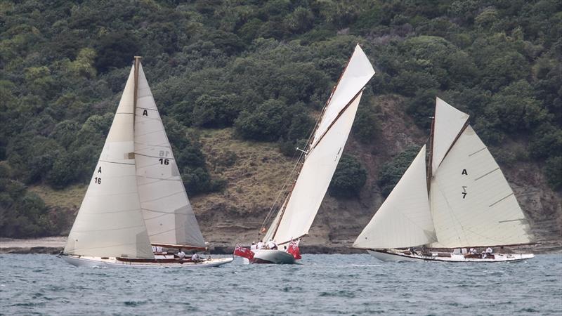 Little Jim (A16), Ariki (A3) and Rainbow (A7) - Mahurangi Regatta - January 29, 2022 - photo © Richard Gladwell - Sail-World.com/nz