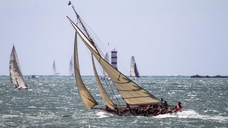 Thelma - Auckland Anniversary Regatta - January 31, 2022 - photo © Richard Gladwell / Sail-World.com