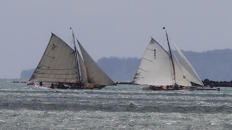 Thelma chasesRawhiti -  Auckland Anniversary Regatta - January 31, 2022 photo copyright Richard Gladwell / Sail-World.com taken at Royal New Zealand Yacht Squadron and featuring the Classic Yachts class