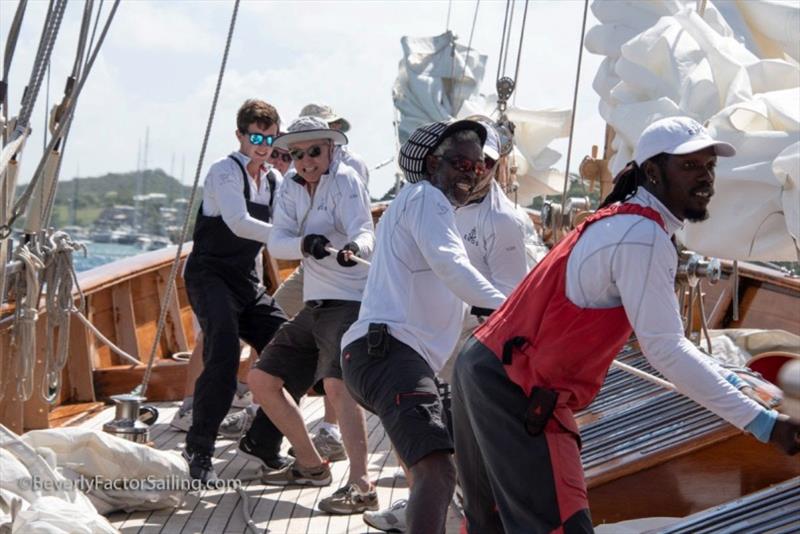 Antigua Classic Yacht Regatta photo copyright BeverlyFactorSailing.com taken at Antigua Yacht Club and featuring the Classic Yachts class