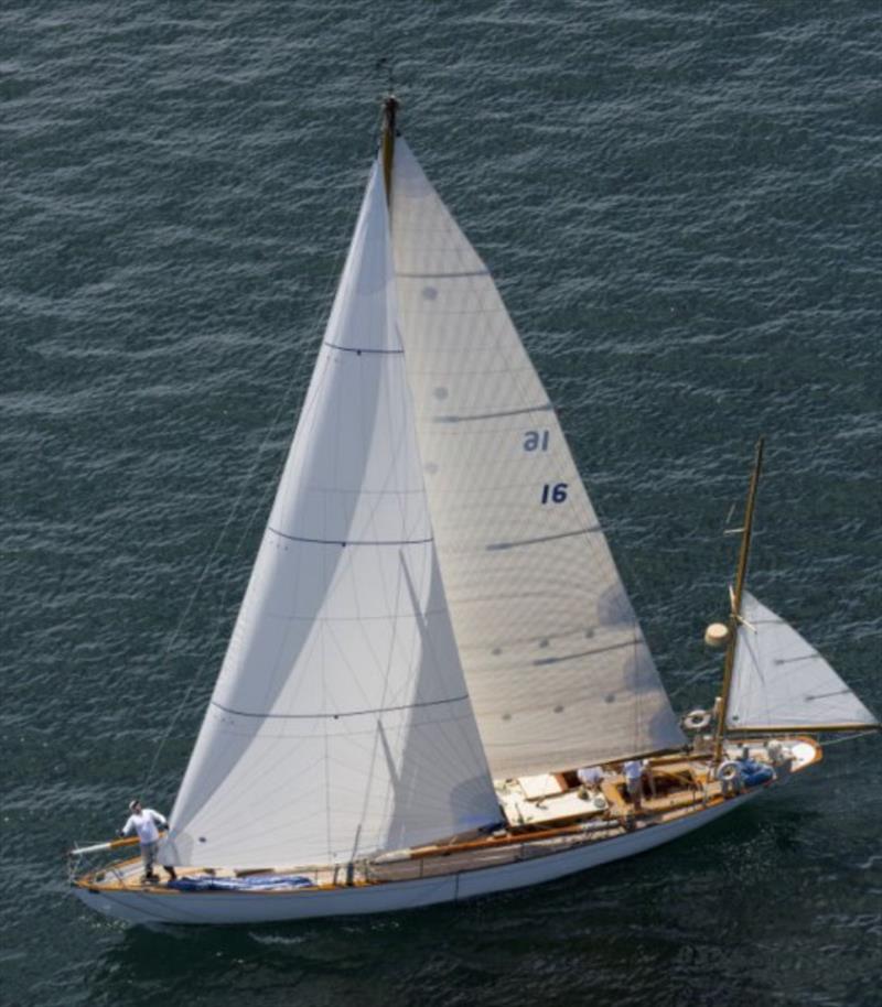 Dorade, a Sparkman and Stephens Design - The Lonely Rock Race photo copyright Billy Black taken at  and featuring the Classic Yachts class