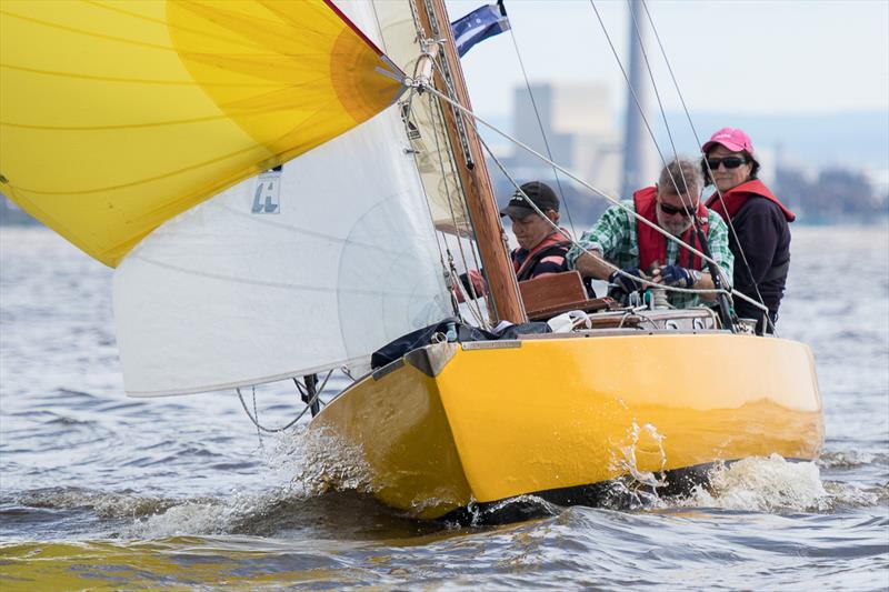 Dingo with Monica Jones on the helm had a good day on the water with a tie for second place in race 3 and a first in race 4 photo copyright A. J. McKinnon taken at Royal Yacht Club of Victoria and featuring the Classic Yachts class