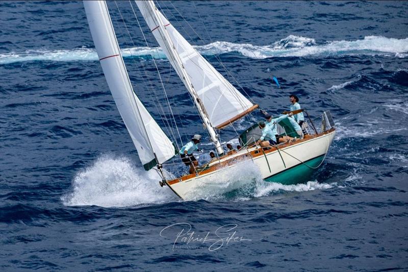 Alani 35' Alan Guerney sloop is winning the smaller Classic GRP class - 2023 Antigua Classic Yacht Regatta photo copyright Patrick Sikes taken at Antigua Yacht Club and featuring the Classic Yachts class