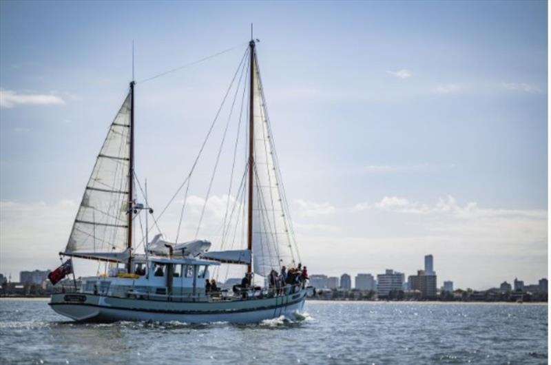 CYAA 2023 Cup Regatta photo copyright www.patchclapp.com taken at  and featuring the Classic Yachts class