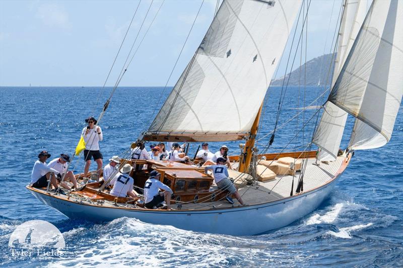 Antigua Classic Yacht Regatta photo copyright Tyler Fields taken at Antigua Yacht Club and featuring the Classic Yachts class