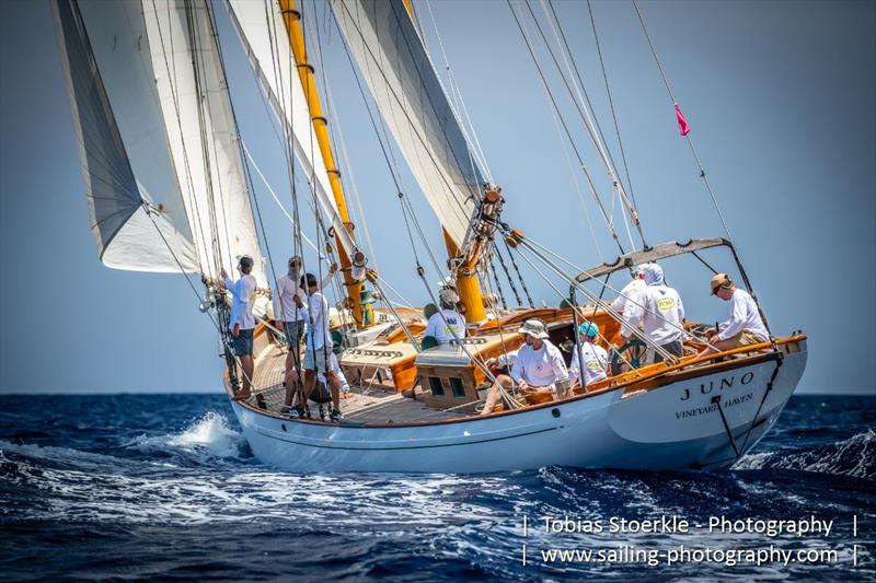 Antigua Classic Yacht Regatta photo copyright Tobias Stoerkle taken at Antigua Yacht Club and featuring the Classic Yachts class