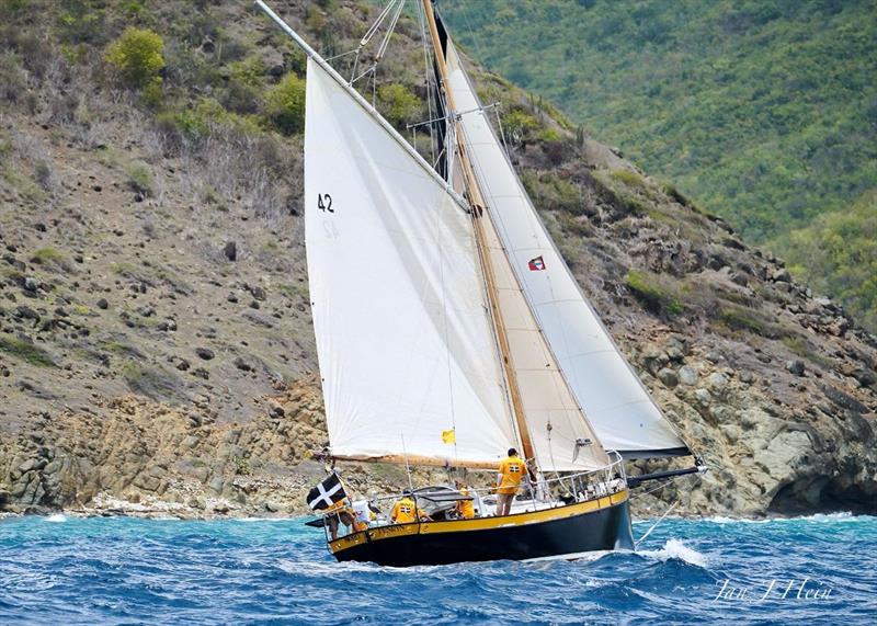 Falmouth working boat Arro - 2025 Antigua Classic Yacht Regatta - photo © Jan J Hein