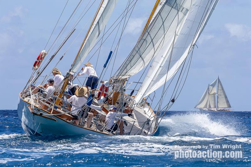 1936 Bermudian yawl Peter von Seestermeuhe - 2025 Antigua Classic Yacht Regatta - photo © Tim Wright