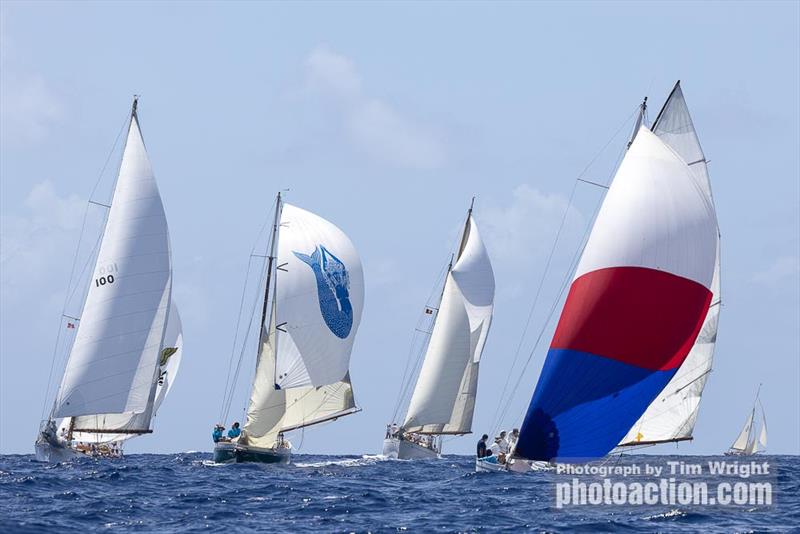 2025 Antigua Classic Yacht Regatta - photo © Tim Wright
