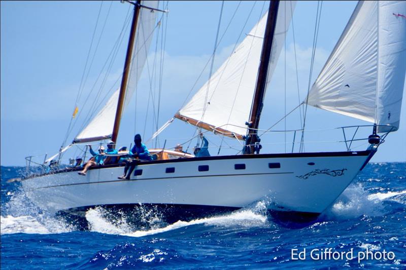 Petrana, 1968 ketch won Large Classics class in the single-handed race - 2025 Antigua Classic Yacht Regatta - photo © Ed Gifford