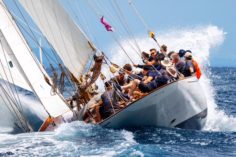 18th Puig Vela Clàssica Barcelona day 1 photo copyright Nico Martinez / www.MartinezStudio.es taken at Real Club Nautico de Barcelona and featuring the Classic Yachts class
