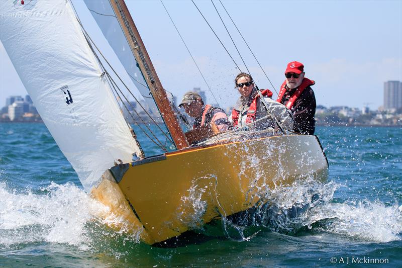 Dingo splashing through some of the small chop during the afternoon's racing photo copyright A.J. McKinnon taken at Royal Yacht Club of Victoria and featuring the Classic Yachts class