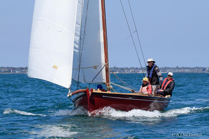 Lucy enjoying some downwind sailing photo copyright A.J. McKinnon taken at Royal Yacht Club of Victoria and featuring the Classic Yachts class