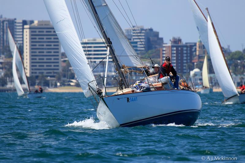Marama, skippered by John Russell-Cook, enjoying some upwind sailing in the light breezes. Currently leading Division 3 with two wins in today's racing photo copyright A.J. McKinnon taken at Royal Yacht Club of Victoria and featuring the Classic Yachts class