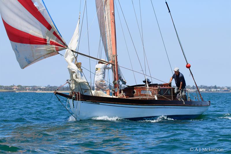 Alwyn, skippered by Peter Costolloe, is currently running second (Div3) with a second and a third in today's racing photo copyright A.J. McKinnon taken at Royal Yacht Club of Victoria and featuring the Classic Yachts class