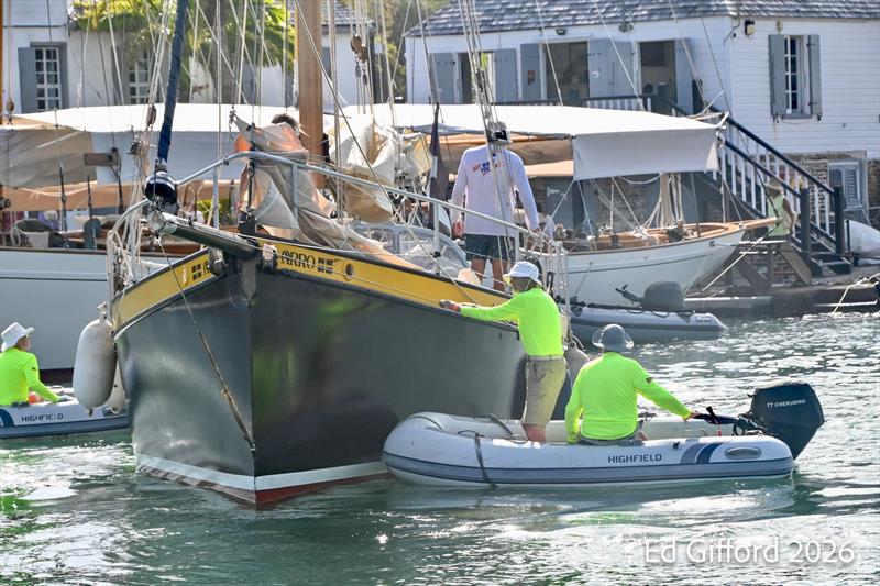 Antigua Classic Yacht Regatta day 1 photo copyright Ed Gifford 2026 taken at Antigua Yacht Club and featuring the Classic Yachts class