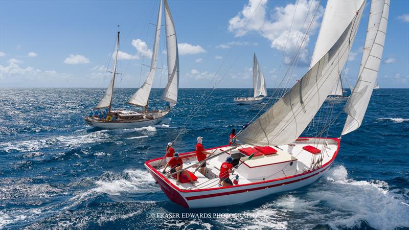 Antigua Classic Yacht Regatta day 4 photo copyright Fraser Edwards taken at Antigua Yacht Club and featuring the Classic Yachts class
