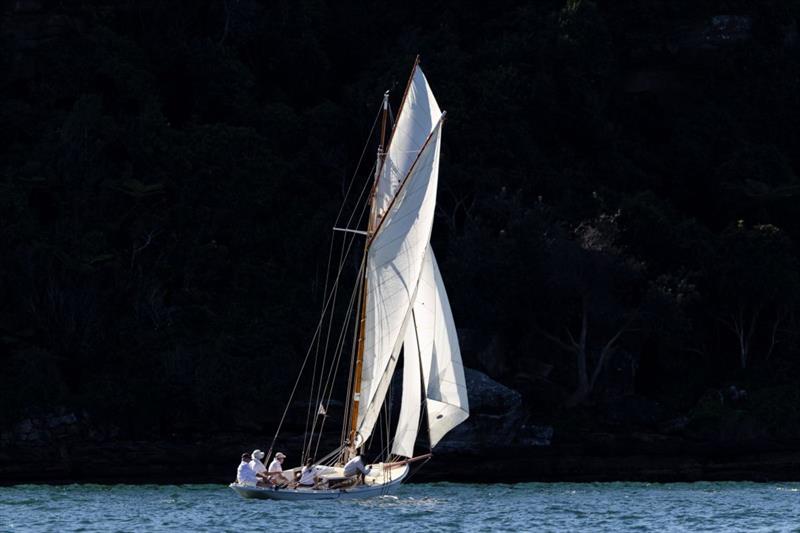 Gaff Rig Cutter Oenone during the inaugural Classic Yacht Regatta at the Royal Prince Edward Yacht Club - photo © Andrea Francolini