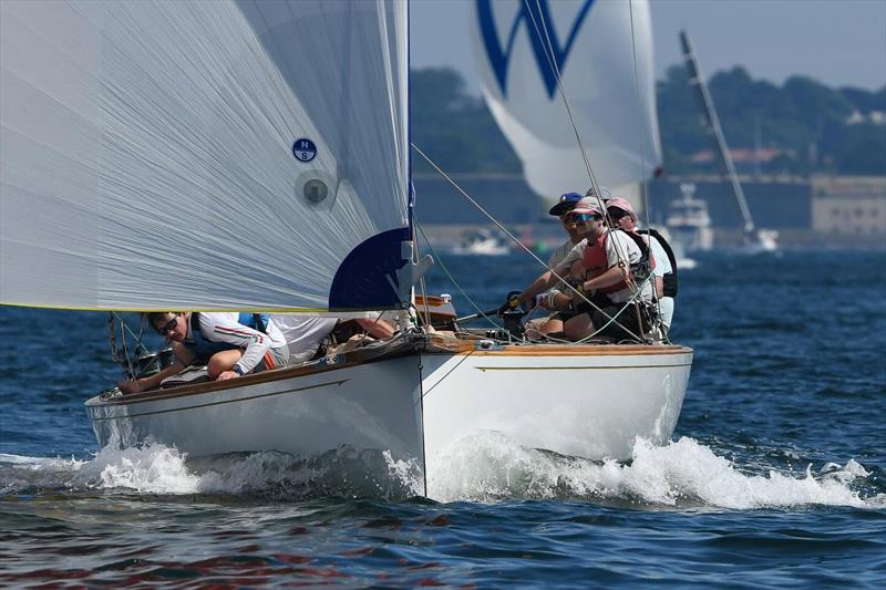 Tiedemann Classics Regatta 2026 photo copyright Stuart Streuli / NYYC taken at New York Yacht Club and featuring the Classic Yachts class
