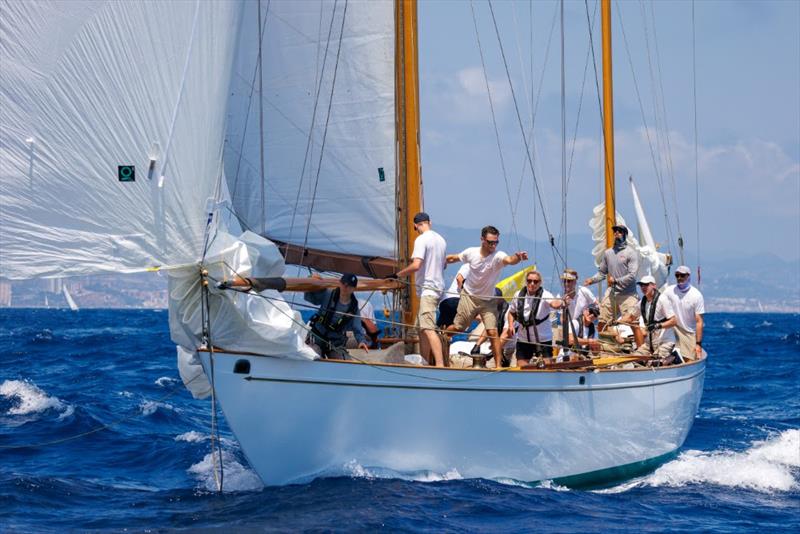 Varuna VII - 19th Puig Vela Clàssica Barcelona photo copyright Nico Martínez taken at Real Club Nautico de Barcelona and featuring the Classic Yachts class