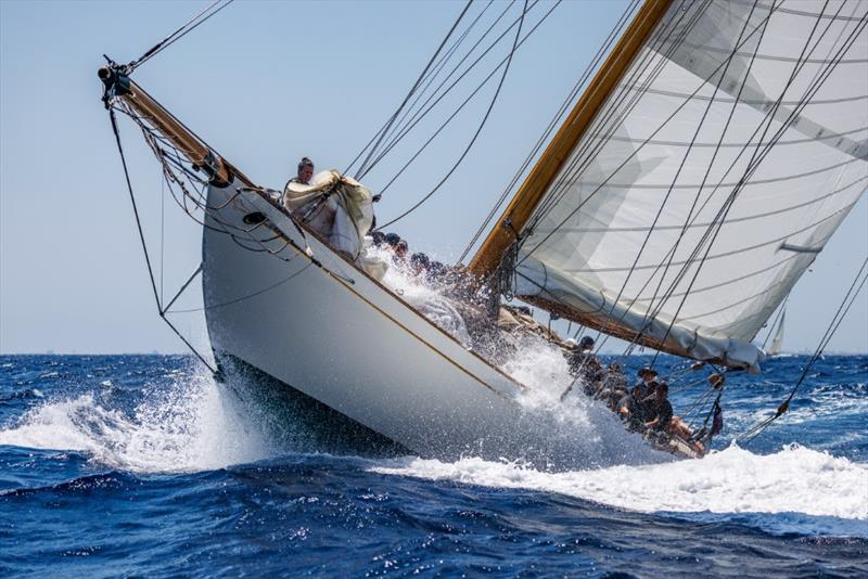 Hallowe'en - 19th Puig Vela Clàssica Barcelona photo copyright Nico Martínez taken at Real Club Nautico de Barcelona and featuring the Classic Yachts class