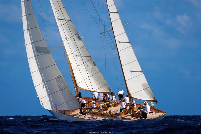 Recluta - 19th Puig Vela Clàssica Barcelona photo copyright Nico Martínez taken at Real Club Nautico de Barcelona and featuring the Classic Yachts class