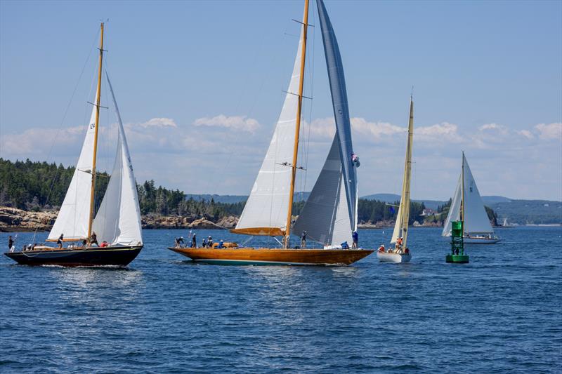 2026 Camden Classics Cup photo copyright Billy Black taken at Camden Yacht Club and featuring the Classic Yachts class