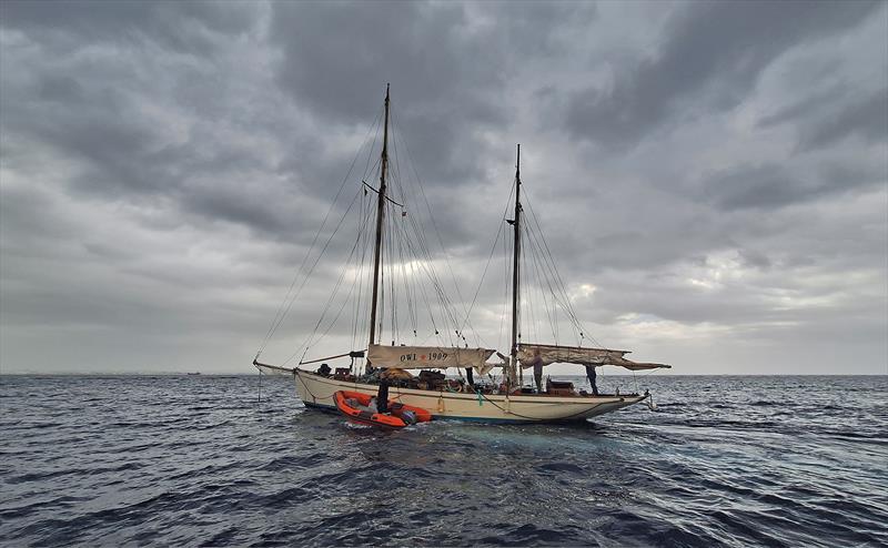 Saving SY Owl 1909 photo copyright SY Owl taken at  and featuring the Classic Yachts class