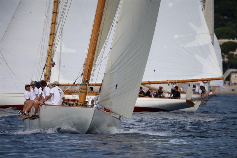 Royal Regattas - photo © Carlo Borlenghi