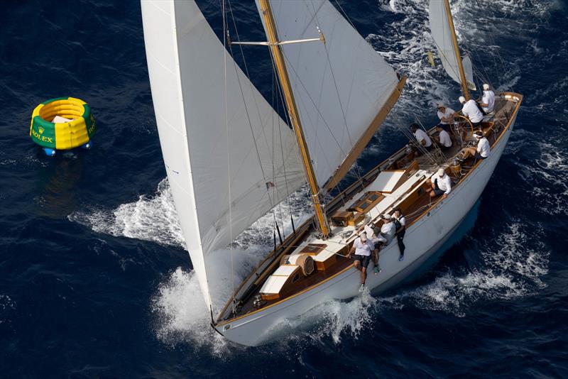 Les Voiles de Saint-Tropez - photo © SNST / Gilles Martin-Raget