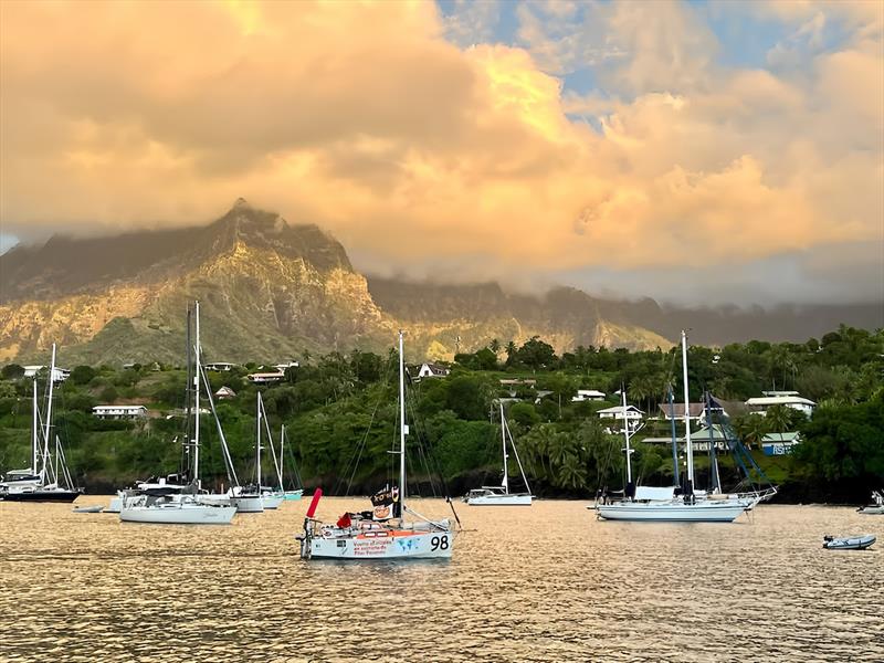 36 days of no other contact with people and Pilar Pasanau (#98 Peter Punk / ESP) is happy to sail in. She had a STARLINK onboard but did not use it?  photo copyright Frieda Fennell taken at  and featuring the Class Mini 5.80 class