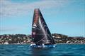 © David Lupion / UpWind by MerConcept