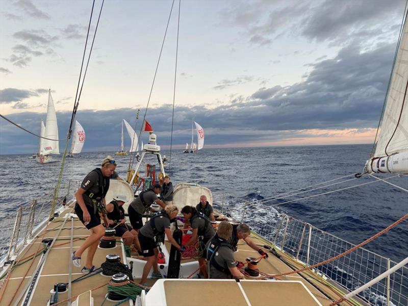 The Clipper Race Leg 5 - Race 7, Day 10 - photo © Clipper Race