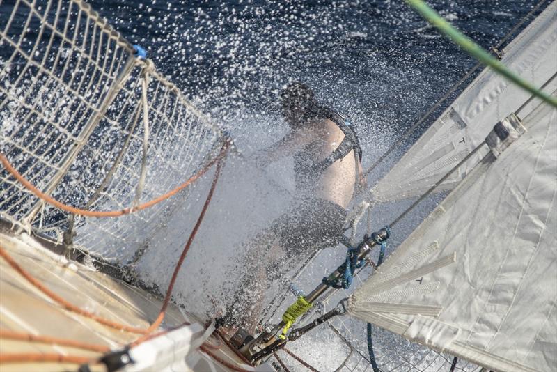 Dario on the bow - Clipper Round the World Race - photo © Clipper Race