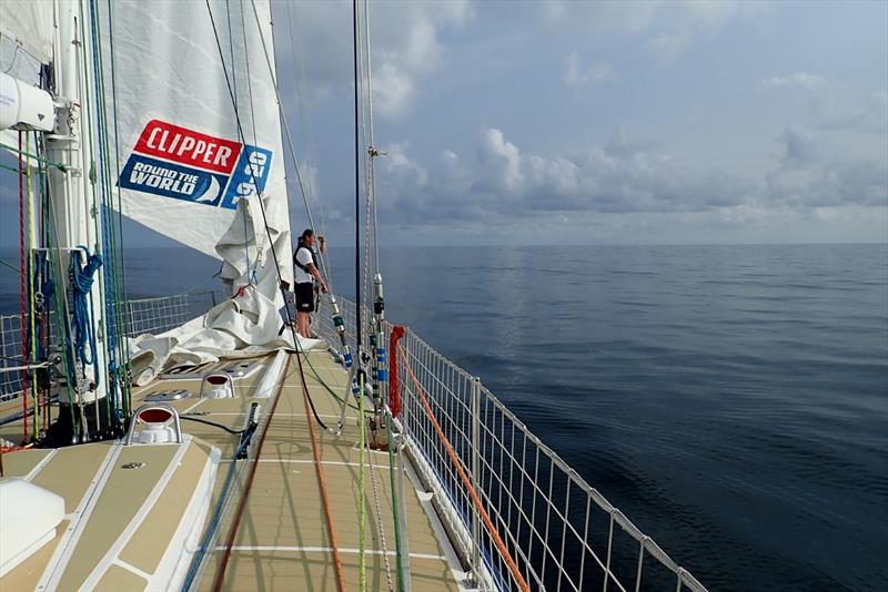 Wheres The Wind Gone - WTC Logistics  photo copyright Clipper Race taken at  and featuring the Clipper 70 class