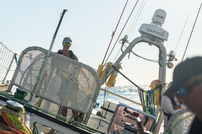 Clipper Race 14 - Rachel at the helm of WTC Logistics photo copyright Clipper Race taken at  and featuring the Clipper 70 class