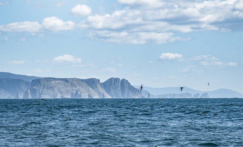 Sight (and smell) of land on Leg 4 as the fleet rounds Tasmania - photo © Clipper Race