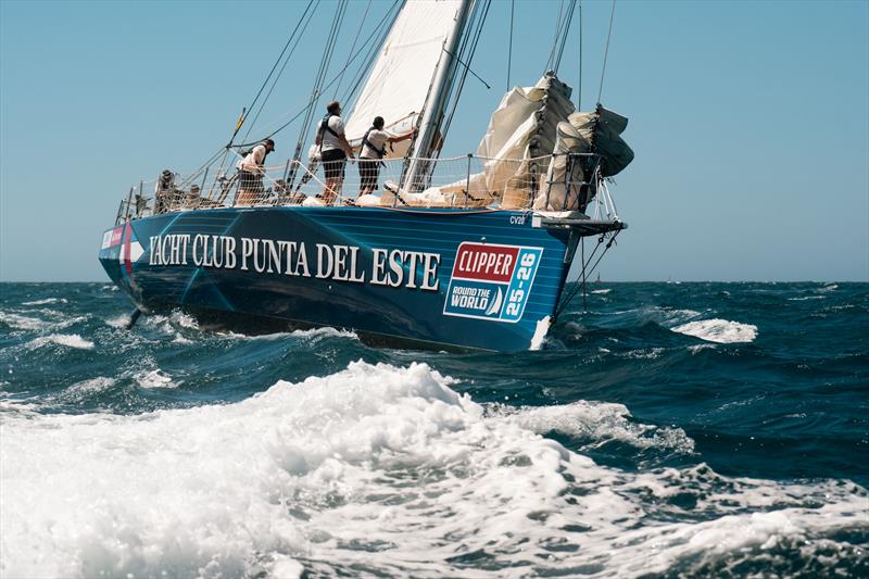 The Clipper Race fleet arrives in to Fremantle, WA photo copyright Sunayana Vinay taken at  and featuring the Clipper Ventures class