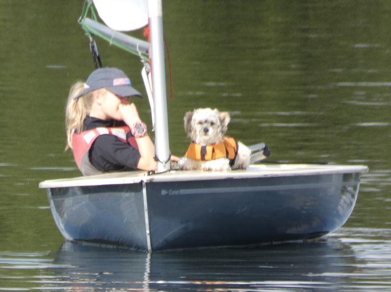 Iona Reid and Popcorn are raising money for Water Aid and Guide Dogs photo copyright Charity Sailing Challenge taken at  and featuring the Comet class