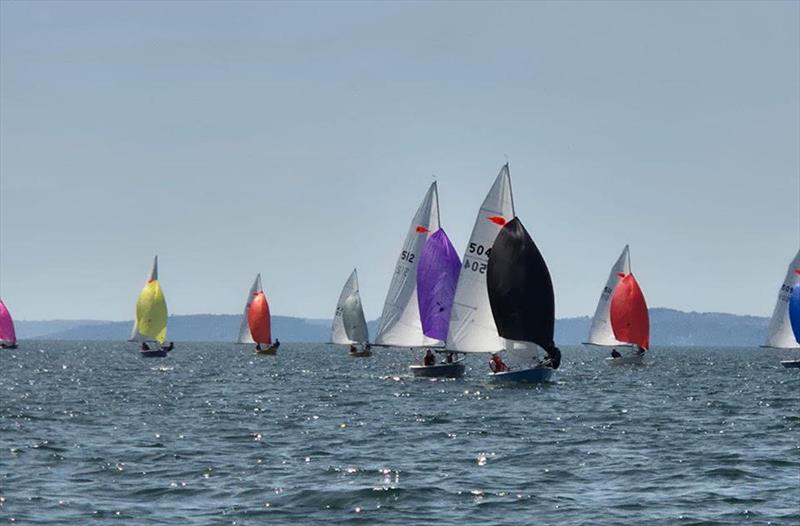 Day 3 - Noble Marine Comet Trio Mark 1 National Championship at Exe - photo © Nicky Groucutt