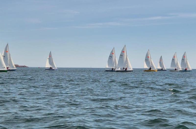 Day 3 - Noble Marine Comet Trio Mark 1 National Championship at Exe - photo © Nicky Groucutt
