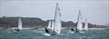Allen Contender Travellers at Highcliffe © Sarah Desjonqueres