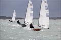 Allen Contender Travellers at Highcliffe © Sarah Desjonqueres