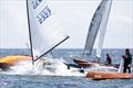 Contender Worlds 2023 at Kerteminde, Denmark © Kristian Joos / www.sailing.pics