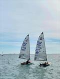 Castle Cove Contender Open © Richard Weatherburn 